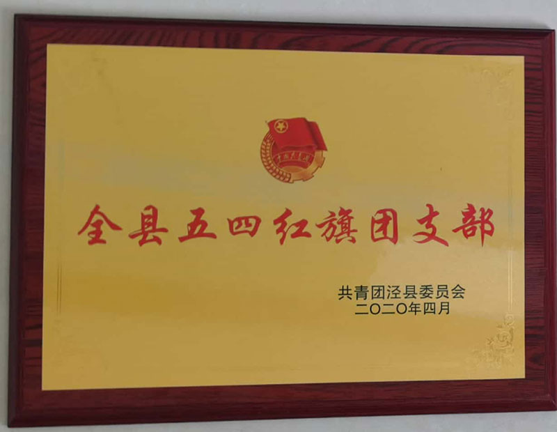 全縣五四紅旗團(tuán)支部2020年4月
